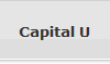 Capital U